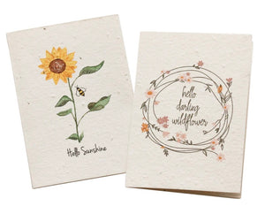 Hello Petal Cards - Hello Sunshine Plantable Cards